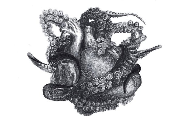 Кракен шеринг