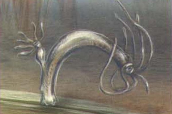 Kraken21 at сайт
