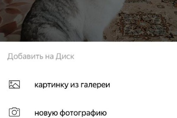 Кракен сайт работает
