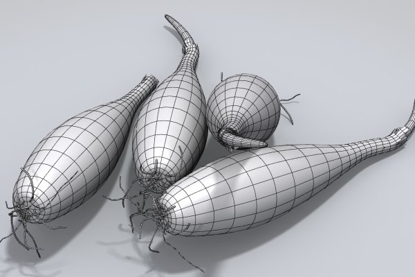 Kraken19at