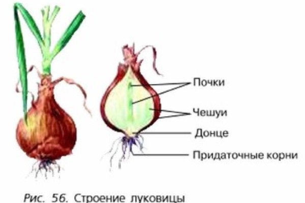 Kra37.cc Вход на сайт главная страница